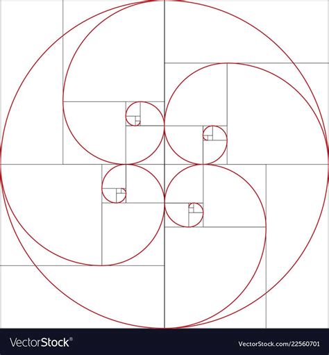 Fibonacci spiral golden ratio vector image on vectorstock – Artofit