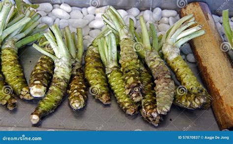 Wasabi Stock Photos - Download 63,006 Royalty Free Photos