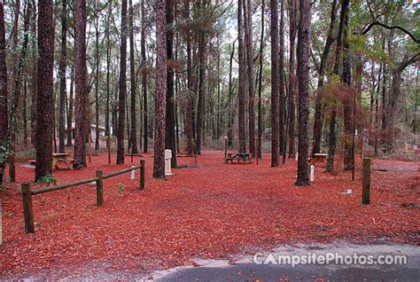 Suwannee River State Park - Campsite Photos, Info & Reservations