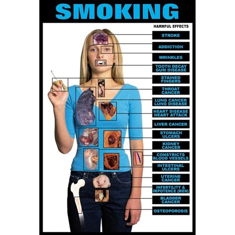 Educational Harmful Effects Of Smoking Chart | Health Edco