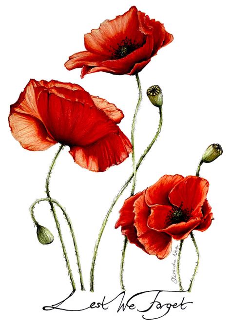 Anzac Day Poppies - Original Artwork A4 - Alexandra Nea