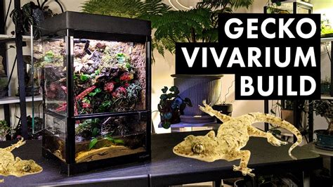 Bioactive Mourning Gecko Vivarium Build - YouTube