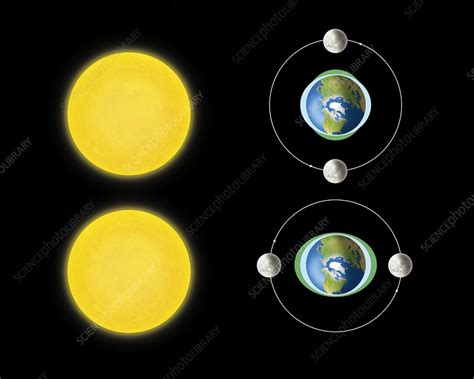 Neap and spring tides, diagram - Stock Image C008/9850 - Science Photo ...