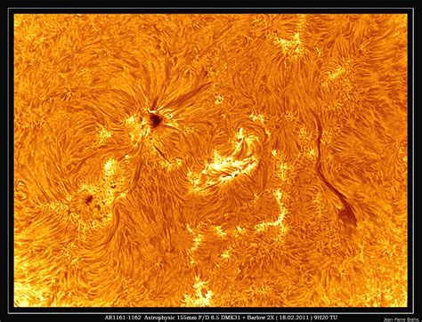 Sun Surface Close-Up: Image Captures Stunning View Of Sun's Active ...