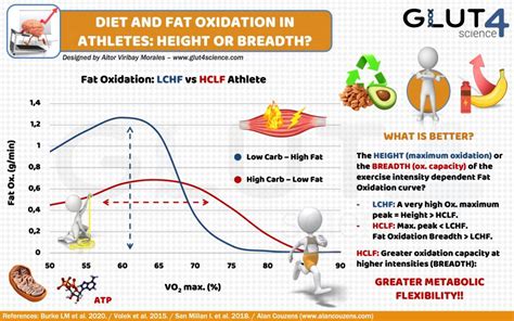 Fat Oxidation in Athletes: High Carbohydrate versus High Fat Diet ...