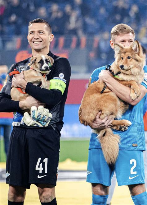 Professional Soccer Players Walk Onto Field Carrying Shelter Dogs - The ...