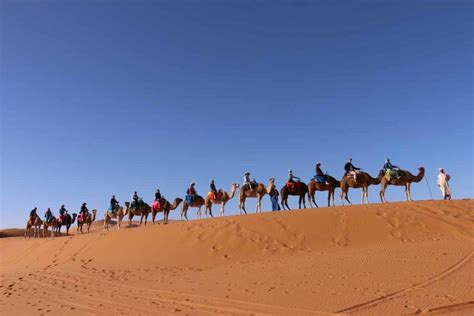 Morocco: My Thrilling Sahara Desert Camp & Camel Ride on the Dunes ...