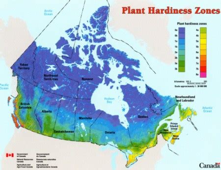 Canada's Plant Hardiness Site | Climate Change Resource Center