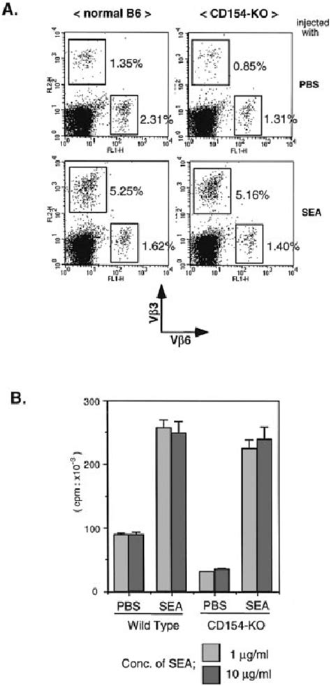 CD154 is dispensable in in vivo priming of V b 3 + T cells by SEA ...