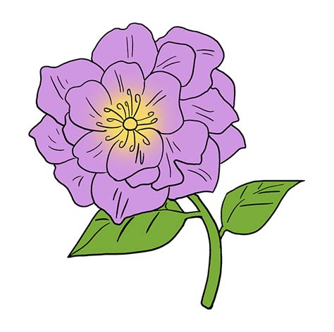 How to Draw a Peony - Really Easy Drawing Tutorial