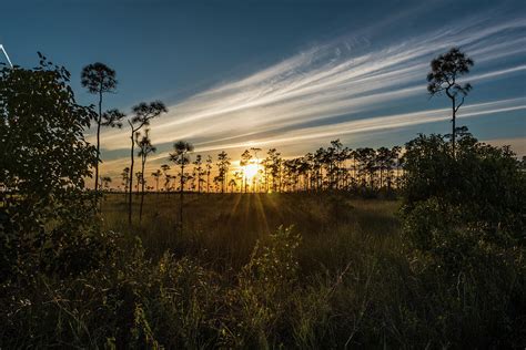 Everglades Sunset Photograph by Jim Cole - Pixels