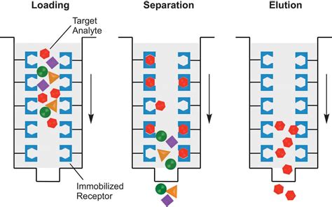 Custom Affinity Chromatography Service - Creative Biostructure