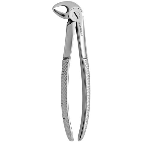 TOOTH FORCEPS N. 33 – P2 Dental Store