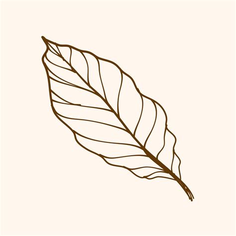 Leaf outline, simple illustration of leaf 7630693 Vector Art at Vecteezy