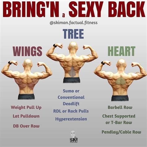 What Are The Most Beneficial Back Exercises? Here's 8 Strengthening ...