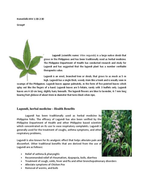 Lagundi | Leaf | Herbalism | Free 30-day Trial | Scribd