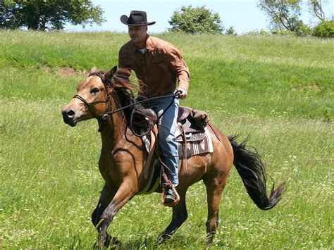 Rodeo Cowboy Rider - Free photo on Pixabay