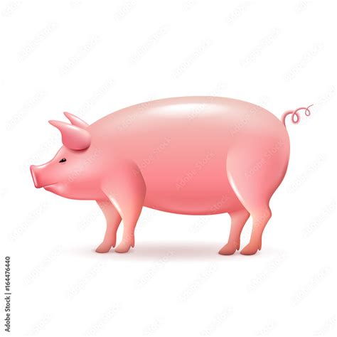 Pig side view isolated on white vector Stock Vector | Adobe Stock