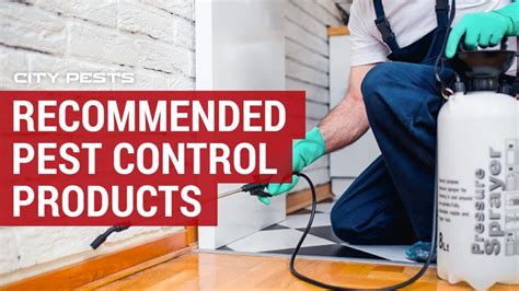 Best DIY Pest Control Products | Control your Infestation | City Pests