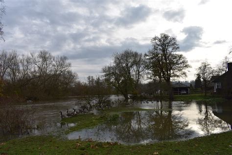 Flood Alert - Walk The Thames