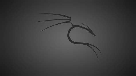 Top 125+ High resolution kali linux wallpaper 4k - Thejungledrummer.com