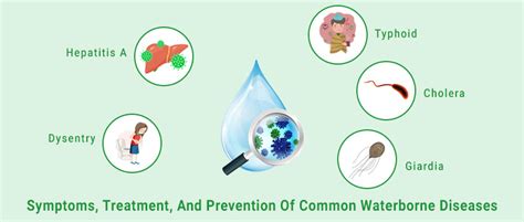 Symptoms, Treatment, and Prevention of Common Waterborne Diseases ...