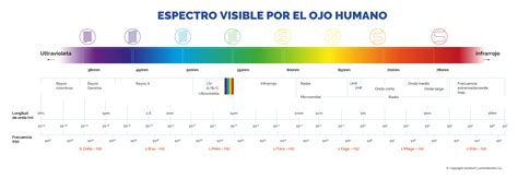 espectro visible ojo humano - ASSELUM