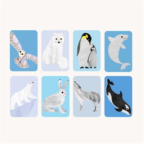 animal cards :: Behance