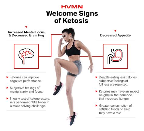 Ketosis Symptoms and Signs: What to Look Out For - CHEVAUN