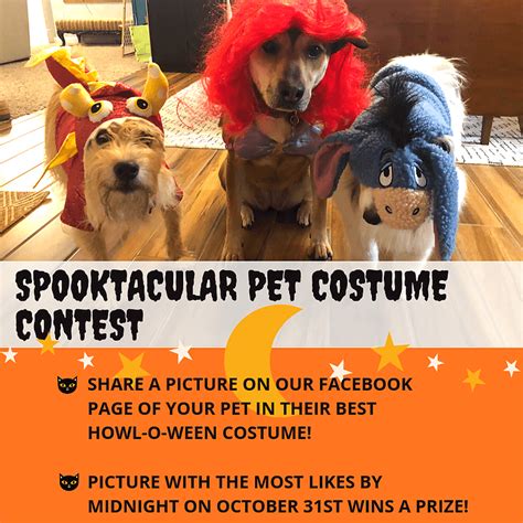 Spooktacular Pet Costume Contest. Share a picture on our facebook page ...