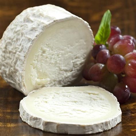 Bucheron Cheese Online | Bucherondin | French Goat Cheese