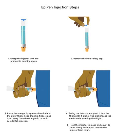 EpiPen | Injection Instructions, Precautions and 2017 Recall