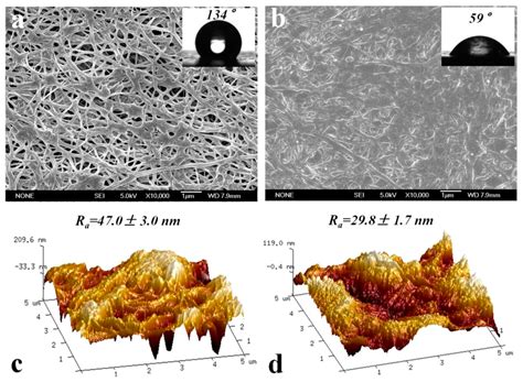 Membranes | Free Full-Text | Recent Advances in Dopamine-Based Membrane ...