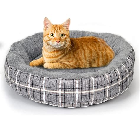 PET BEDS – Pawsstore.co