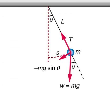 The Simple Pendulum | Physics