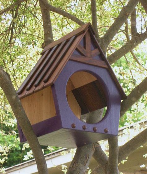 Blue Jay Nesting Box Plans