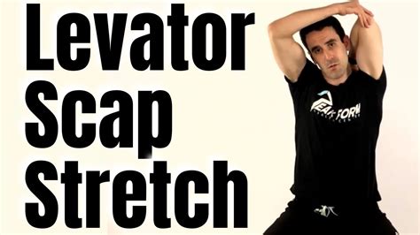 Levator Scapulae Stretch for Neck Pain Relief | San Diego Chiropractic ...