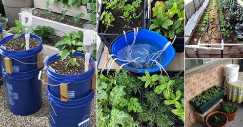 23 DIY Garden Watering Aid | Watering Systems You Can Create for Garden