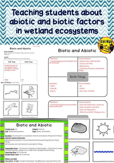 Interactions In Ecosystems Worksheet