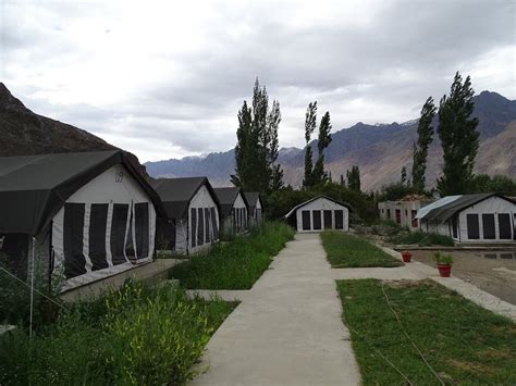 Nubra Sarai Camp (Nubra Valley, Inde) - tarifs 2021 mis à jour et avis ...