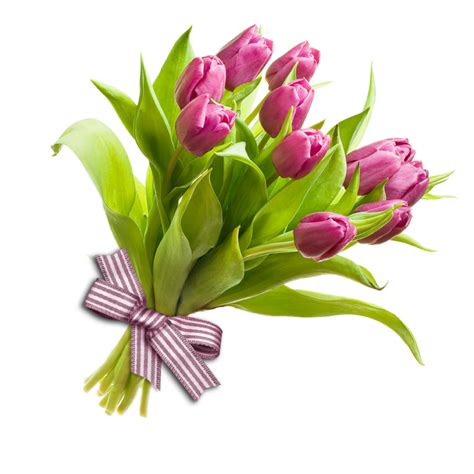 Pink Tulip Flower Bouquet Spring Gift Arrangement PNG File | PNG All