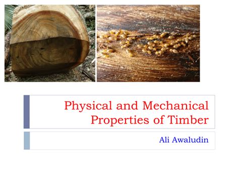 (PDF) Physical and Mechanical Properties of Timber Wood-destroying ...