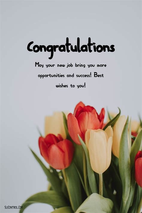 Congratulations Messages For New Job Best Wishes For Job | Images and ...