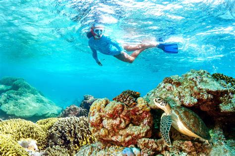 Snorkeling in The Seychelles - Alphonse Island