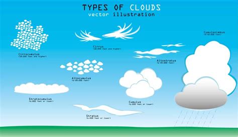 10 Types of Clouds in the Sky – Do You Know Them All? – Nayturr