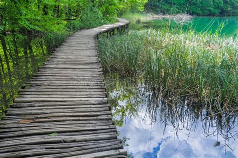 Wooden Hiking Trails in Plitvice Lakes National Park Stock Image ...