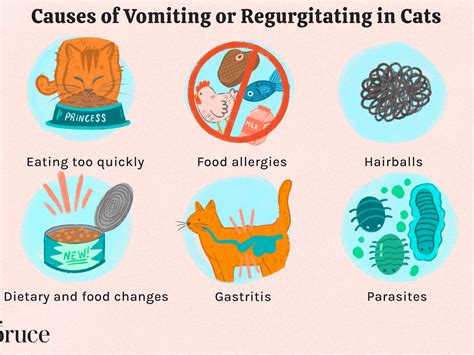 Why Is My Cat Throwing Up Undigested Food: Causes and Solutions ...