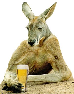 Fairgrounds Home Page | Kangaroo, Funny animals, Funny australian