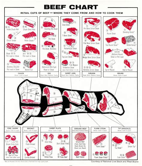 Diagram Of Cow Meat Cuts Of Beef