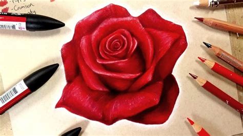 How to draw a rose step by step – helpful tutorials for beginners